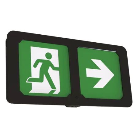 Ansell AADLSE/BLK Adler Exit Box Maintained / Non-Maintained Black
