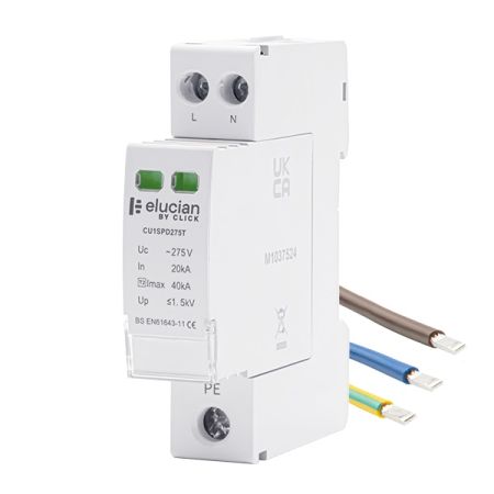 Click Elucian 100A Double Pole Main Switch Isolator | CU2MS100