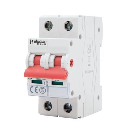 Click Elucian 100A Double Pole Main Switch Isolator | CU2MS100
