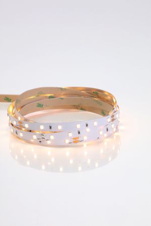 Forum 24V LED Strip 3000K 525 Lumens P/M 5M Length | ELA-34280