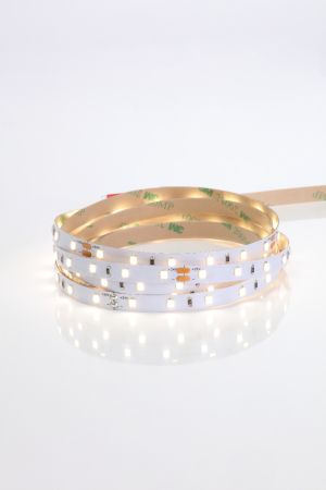 Forum 24V LED Strip 4000K 588 Lumens P/M 5M Length | ELA-34281