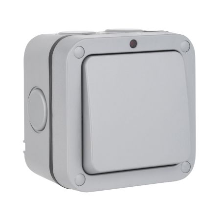 Elex Weatherguard IP66 ELEX/WP1GSW Single Switch & Neon Indicator