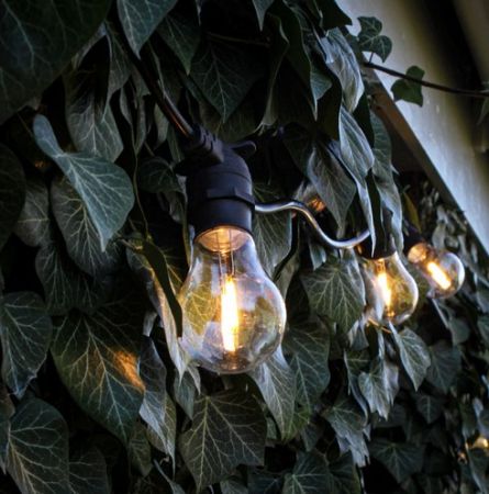 Luxlite Festoon GLS Filament Lamp 2W LED BC/B22 Cap Warm White | LUX-GLS1FIL/WW