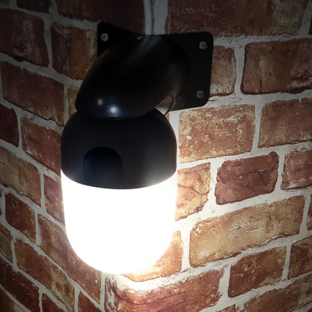 Eterna Lighting 10W LED Polycarbonate Well Glass Black | WELLBKSTD